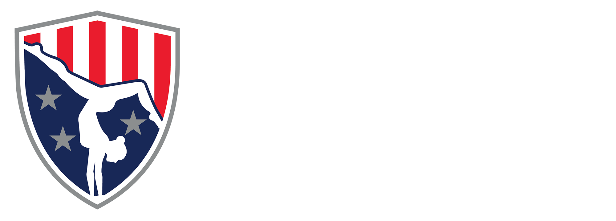 All American Gymnastic & Dance Academy